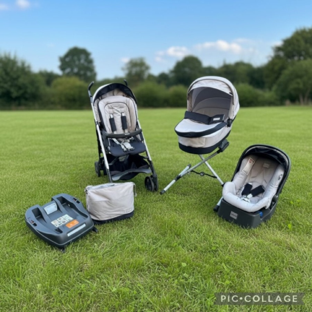 Inglesina Zippy Pro