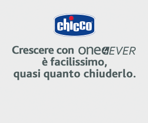 Chicco One4Ever