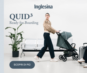 Inglesina Quid3