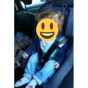 Recensione Inglesina Darwin Toddler - Valentina Landoni - Prova in auto